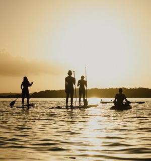 eine Gruppe von Menschen auf Paddle-Boards im Wasser