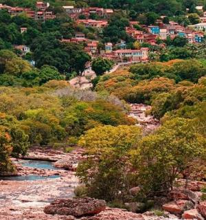 河流、树木和城镇的景色