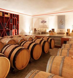 一间摆满酒桶的房间