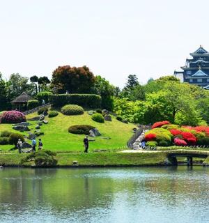 有花园和湖泊的公园
