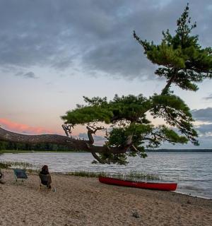 一位女士坐在海滩边的椅子上,旁边有一棵树