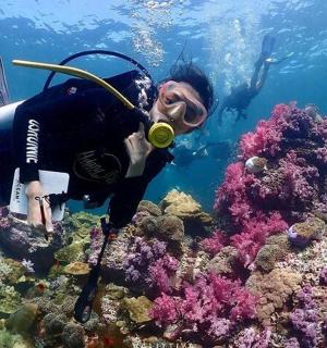 a man in a diving suit is looking at a coral reef