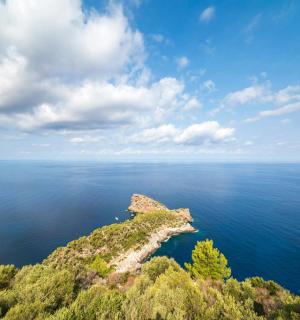 海洋中央的一座岛屿