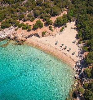 an aerial view of a beach with trees and water