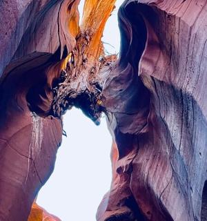 a view of a rock formation in a canyon