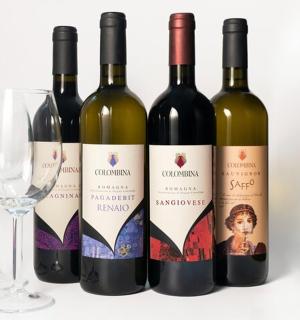 一组四瓶葡萄酒和一杯