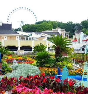 výstava květin na květinovém a zahradním festivalu Epcot