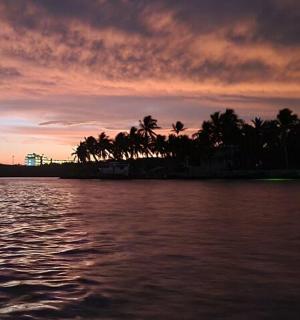 棕榈树环绕的水域上空的日落