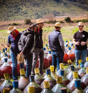 一群男人站在一堆酒瓶前