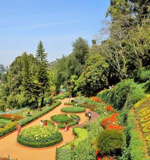 公园里有花草的花园
