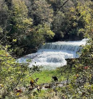 树木繁茂的河流中间的瀑布
