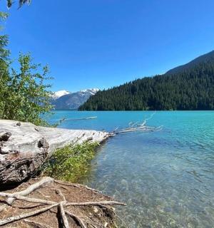 a body of water with a log in the foreground