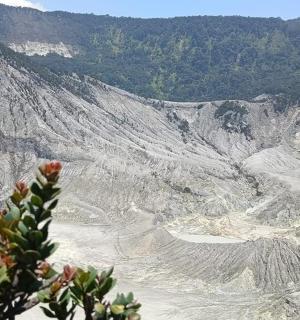 a view of a rocky mountain with trees in the background