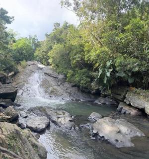 řeka uprostřed lesa