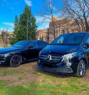 两辆汽车并排停在田野里