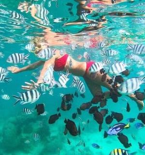 a woman swimming in the water with fish