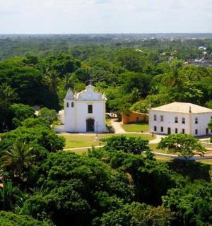 森林中央的一座白色大楼