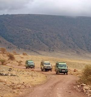 三辆卡车在土路上行驶