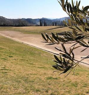 田野中间的一条土路