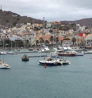 一群停靠在城市港口的船只