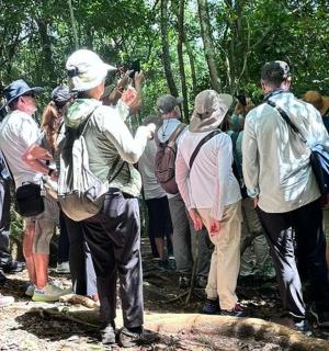 一群人站在树林里