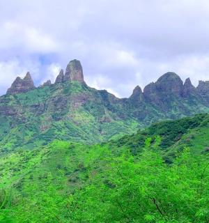 树木和岩石的山景