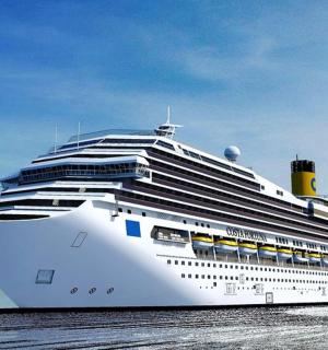 一艘停在水中的游轮