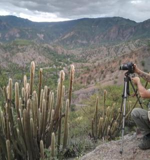 一名男子正在拍摄仙人掌