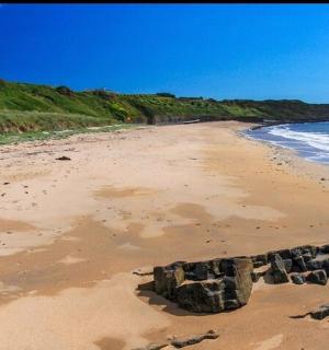 pláž s několika kameny v písku a oceánem