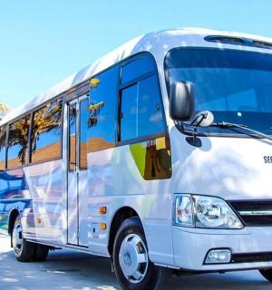 a white bus parked next to a palm tree
