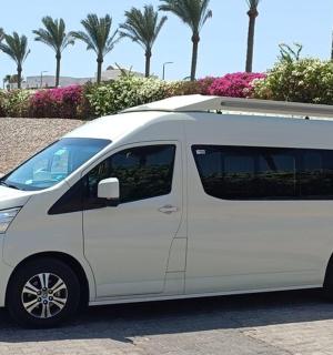 a white van parked in a parking lot with palm trees