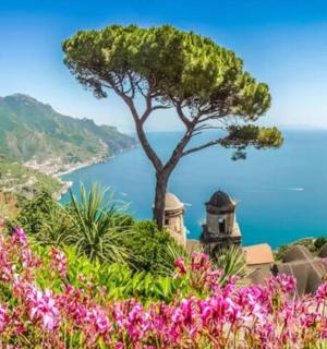 una vista de l'oceà des d'un turó amb flors