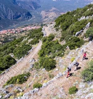 一群人站在山顶上