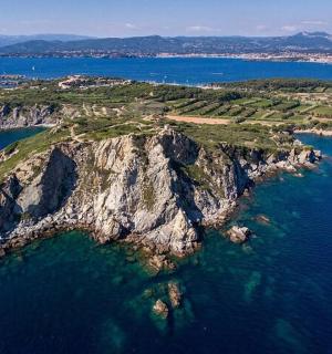 水中岛屿的鸟瞰图