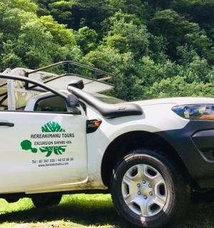 ein weißer LKW, der mit offener Tür im Gras geparkt ist