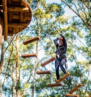 a person on a zip line in the trees