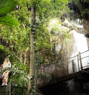 a group of people standing on steps in front of a waterfall