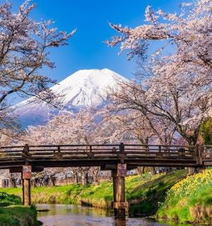 河上的一座桥，背景是一座山