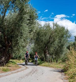 dva lidé jedoucí na kolech po nezpevněné cestě