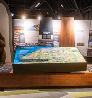 a display with a bear and a map on a table