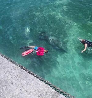 dva lidé plavou ve vodě