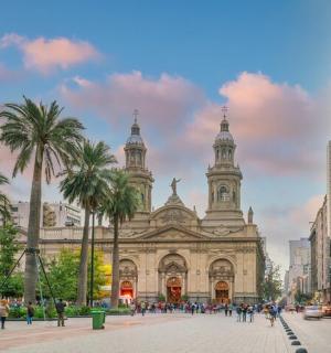 velká budova s palmami před ní