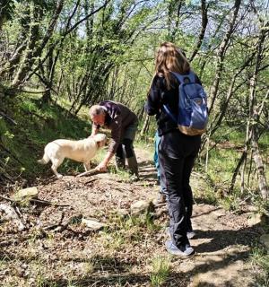 muž a žena venčící psa na stezce