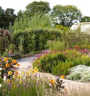 ein Garten mit vielen verschiedenen Blumenarten