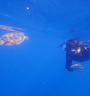 a woman swimming in the water with a turtle