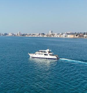 水中的小船，背景是一座城市