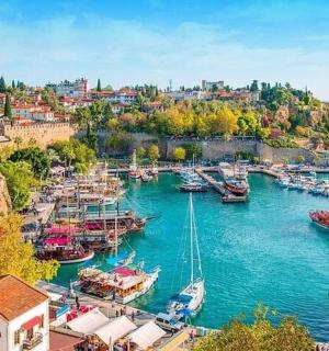 a group of boats are docked in a harbor