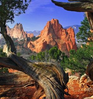 Blick auf eine Schlucht mit einem Baum und Bergen