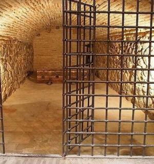 a horse in a cage in a tunnel