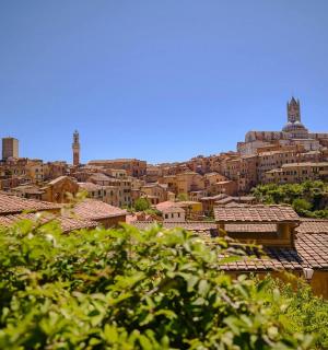 有屋顶的城市景观